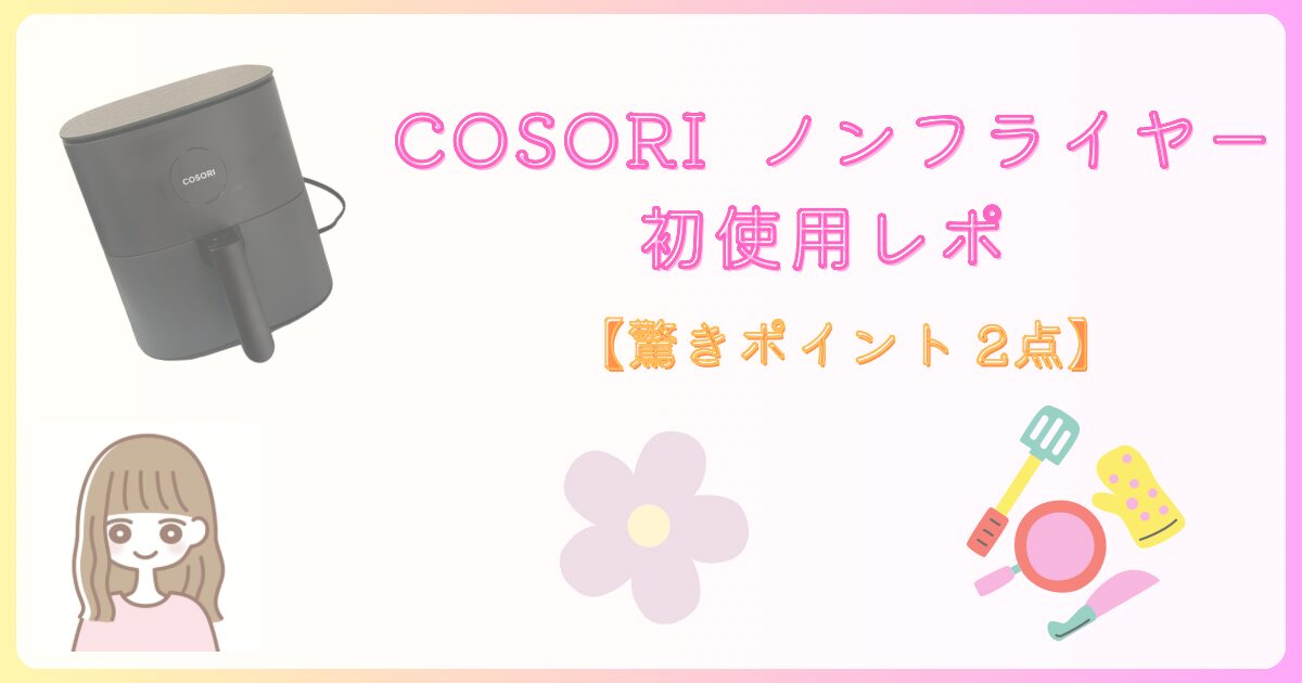 COSORIノンフライヤー記事